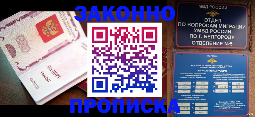 временная регистрация для школы в Жуковском